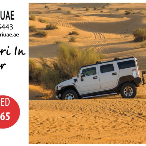 Enjoy desert safari Dubai to the most