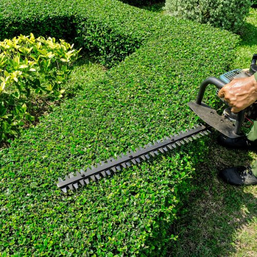 Worry about the maintenance of the Garden! Just higher Landscaping Maintenance Services
