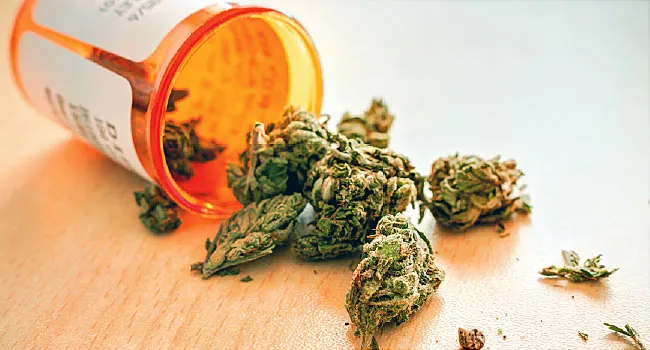 3 Reasons to buy my weed online and Why Medical Marijuana Might Be The Best Treatment For Your Illness