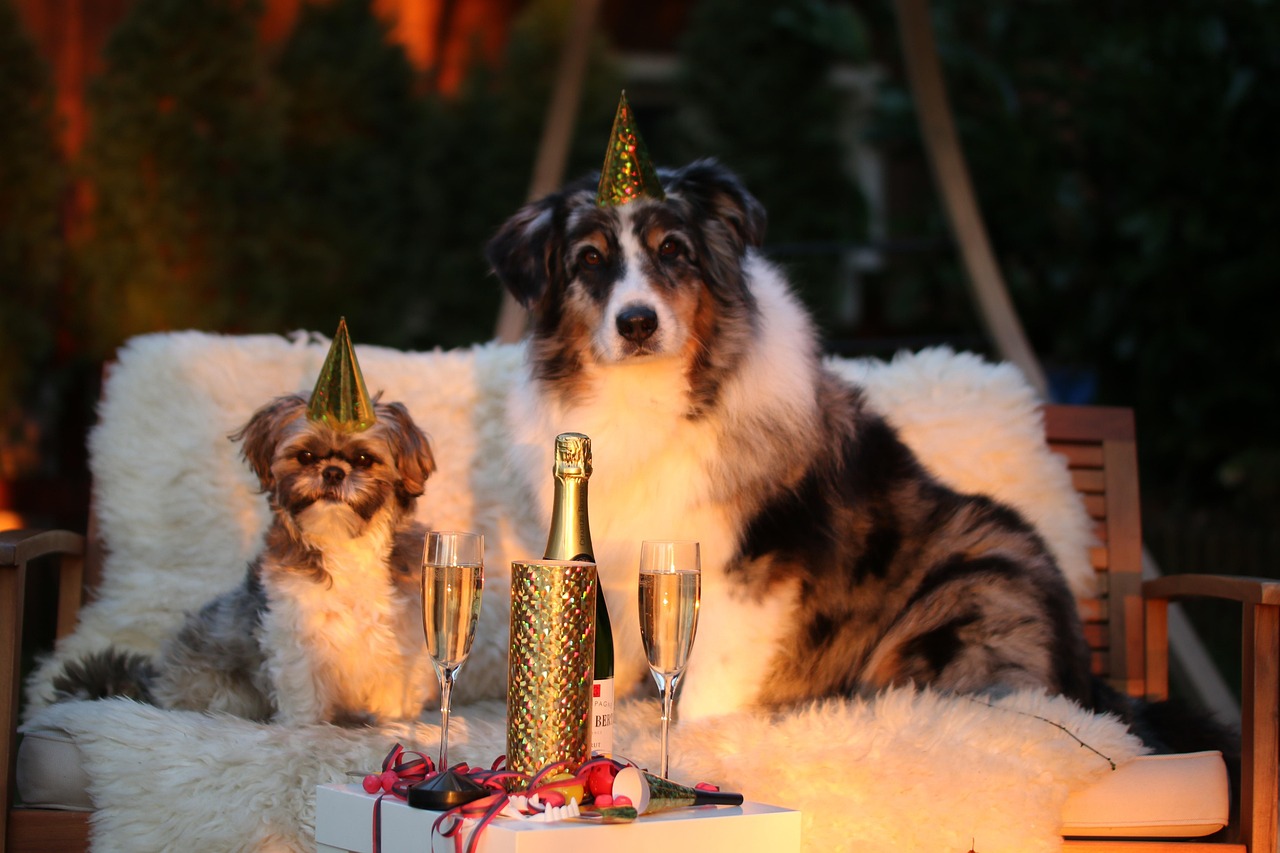 New year's day, sylvester, new year's eve 2015 — Atomic Wallet: A Convenient Solution for Crypto Management