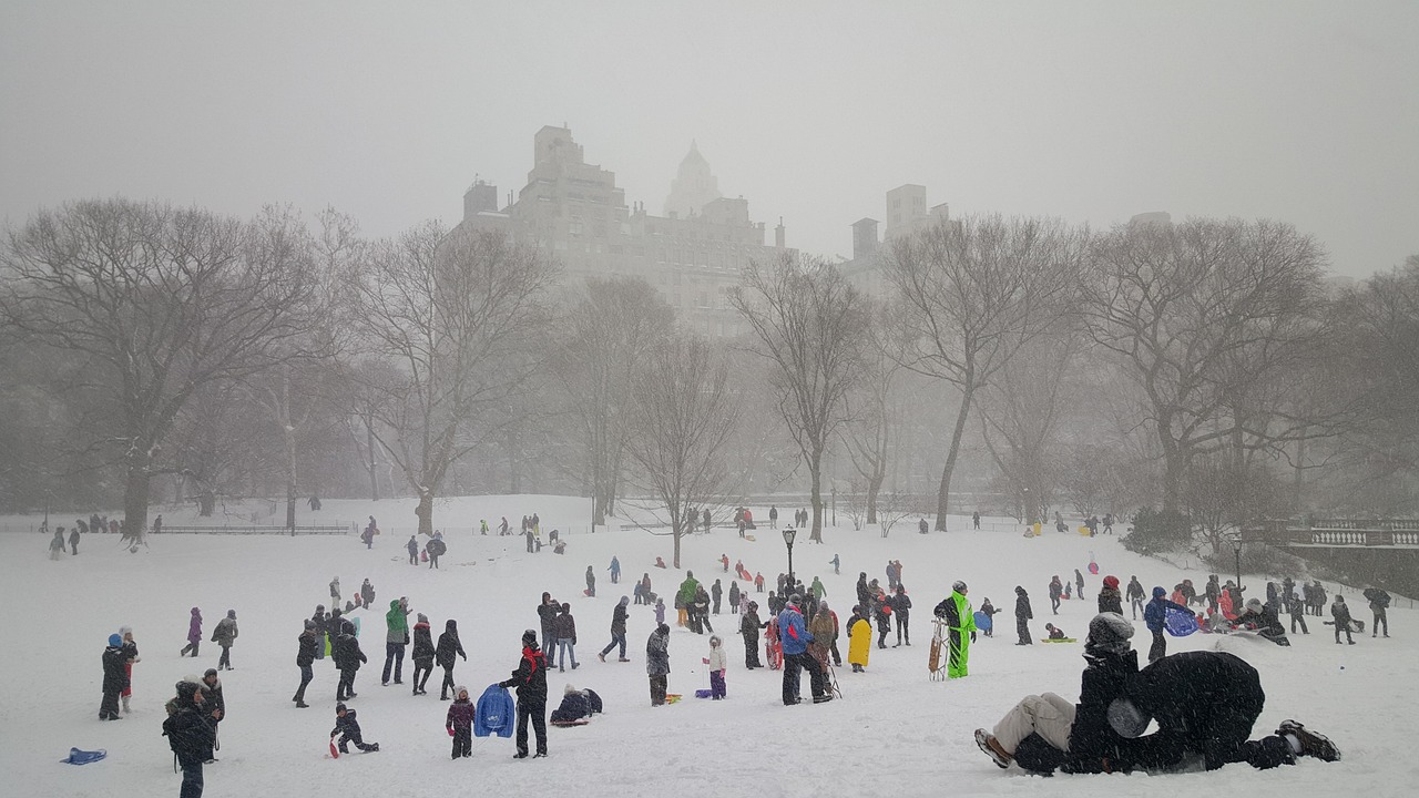 Snow, central park, new york — Atomic Wallet: Your Key to Seamless Crypto Transactions