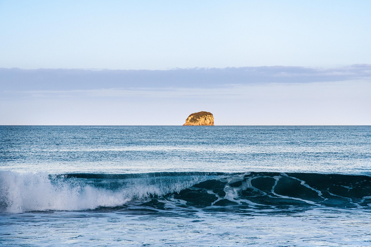 Island, waves, sunset — Discover All You Can Do with Atomic Wallet