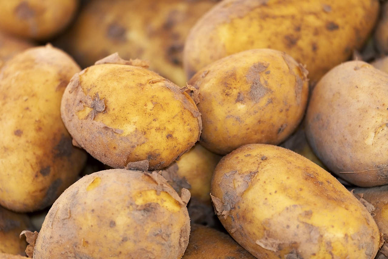 Potato, new harvest, nature — Discover the Features and Benefits of Atomic Wallet