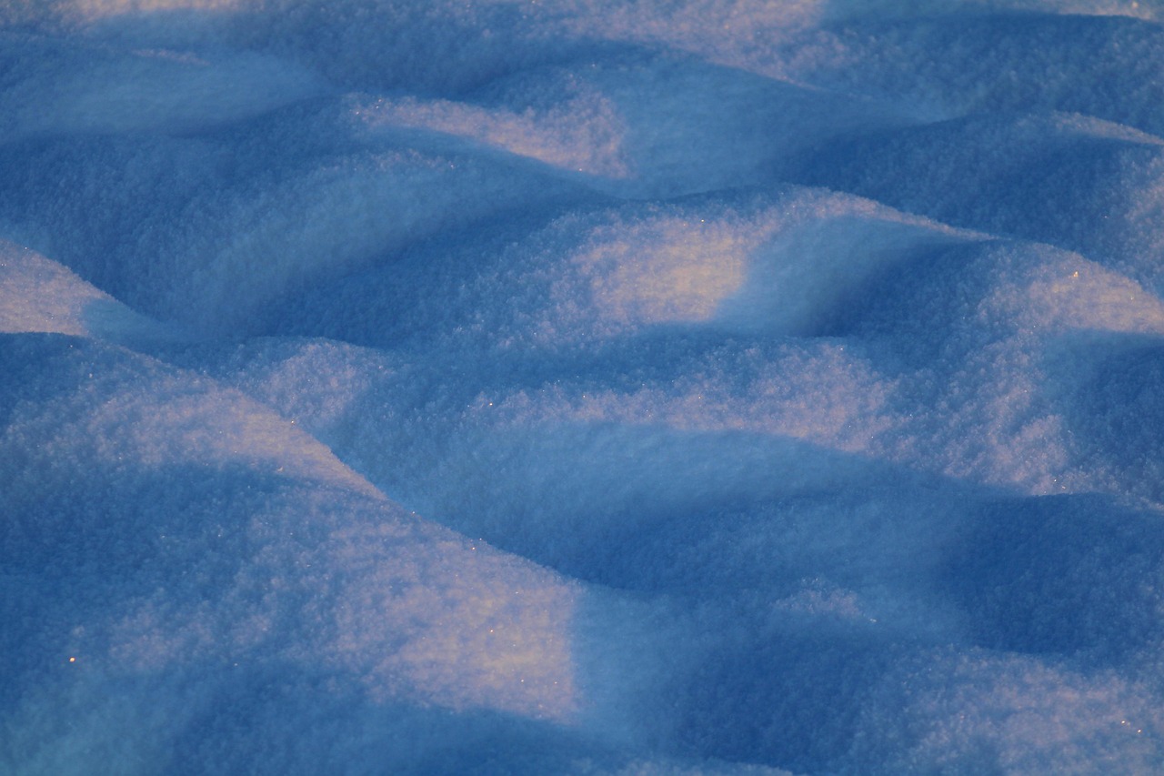 Snow, winter, winter landscape — Discovering Bscscan: A Comprehensive Guide for Investors