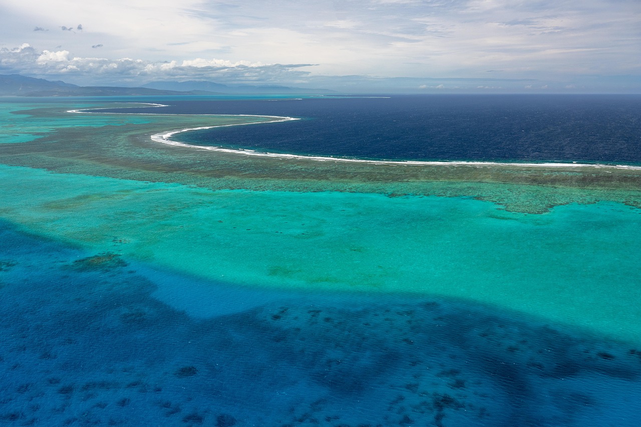 Lagoon, ocean, sea — Experience the Ease of Managing Crypto with Ledger Live