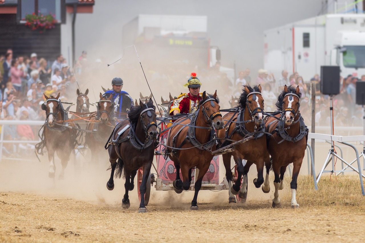 Horse race, roman chariot, chariot races — Find Policy Limits Easily to Strengthen Insurance Claims and Legal Outcomes