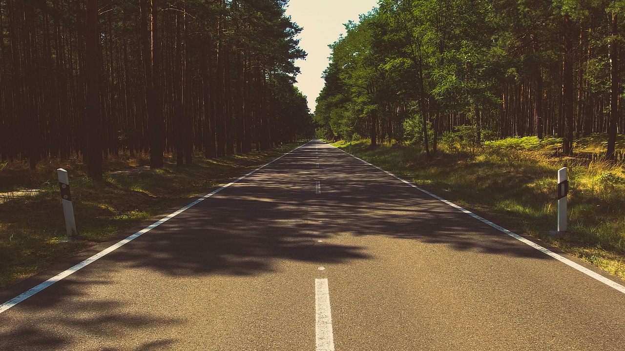 Forest, nature, road — How Online Taxi Booking Makes Transportation More Accessible