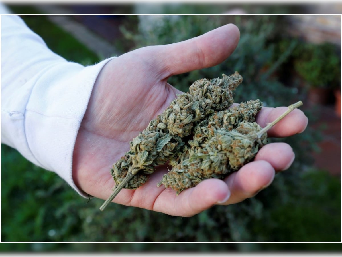 Know in detail functions and features of Online Dispensary