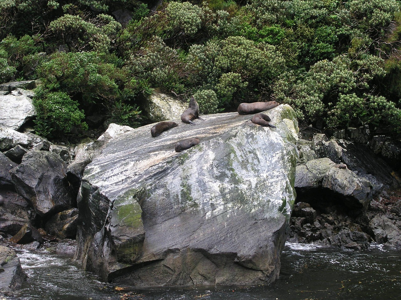 New zealand, new, zealand — Mastering Raydium: Your Path to Efficient Crypto Swaps