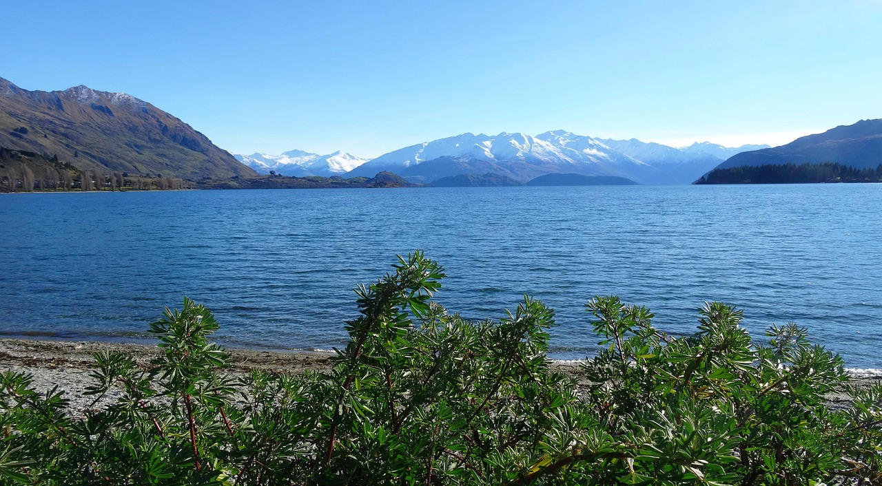 Lake, new zealand, landscape — Unleashing the Potential of Jupiter Swap for Traders