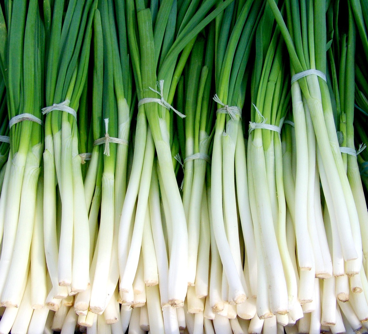 Green onions, new onion, vegetables — Unleashing the Potential of Jupiter Swap for Traders