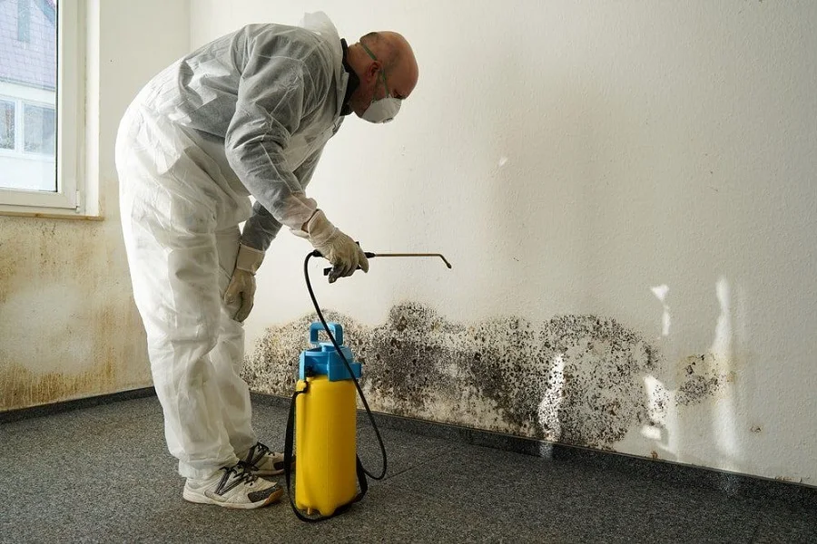 What Peeling Paint and Musty Smells Could Be Telling You About Your Home